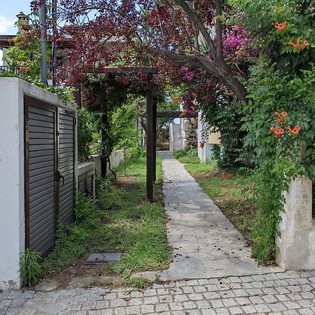 Melina Apartments Nikiti  Exteriér fotografie